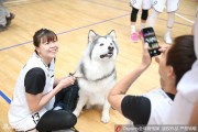 金兰携瑞犬，京城展英姿：北京女篮新春写真定格柔情与霸气