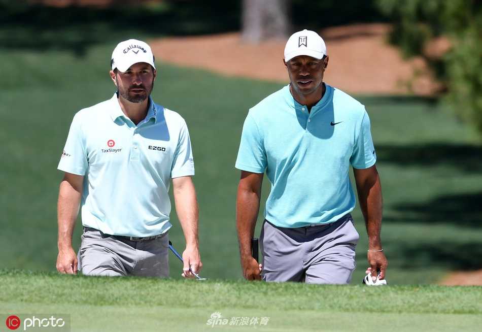 王者归来之路美国大师赛周三练习日老虎伍兹奥古斯塔潜心备战 伍兹在奥古斯塔标志性的松林间走向下一洞,步履坚定充满决心