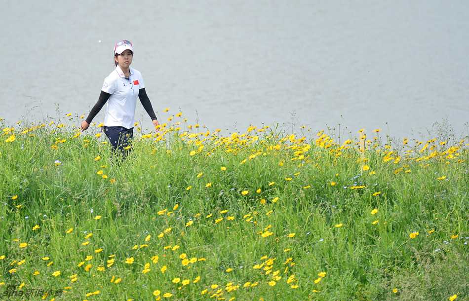 整齐洁白的球列阵于翠绿草甸之上，远方花树如云，构成一幅秩序井然又生机盎然的赛场图景