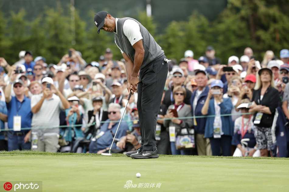伍兹全神贯注，在果岭上审视推杆线路，身后是壮阔的圆石滩海景
