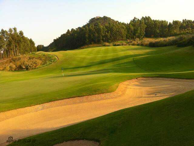 天然球道如野性花园，金黄花丛与绿茵织就印象派画卷