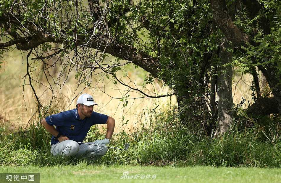 绿茵之上王者归来 荣耀时刻真情流露 冠军亲吻奖杯的经典瞬间,充满了对胜利的无比珍视与热爱