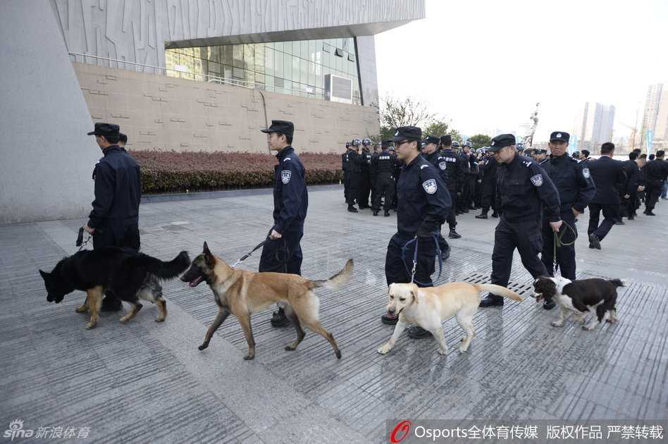 威风凛凛的警犬在训导员带领下，专注地对球馆外围的每一个角落进行细致排查，不放过任何一丝安全隐患。