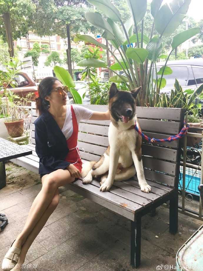 李跑身穿时尚牛仔短裤在户外与爱犬亲密互动，她蹲下身子温柔地抚摸秋田犬，修长美腿在阳光下格外抢镜。