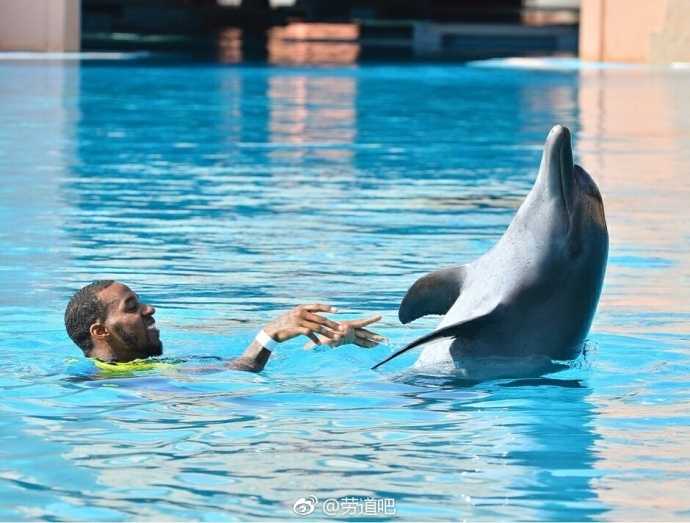 面对这群友好的海洋生物，亚当斯展现出罕见的温柔，他伸出手臂与海豚共舞，水面下的身影显得格外轻松惬意。