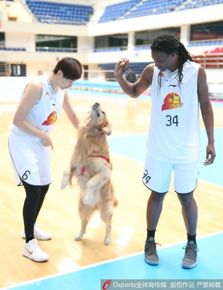 史秀峰轻抚怀中小犬的下巴，笑容灿烂如邻家姐姐，让人忘却她是在总决赛投中关键压哨球的冷血杀手。