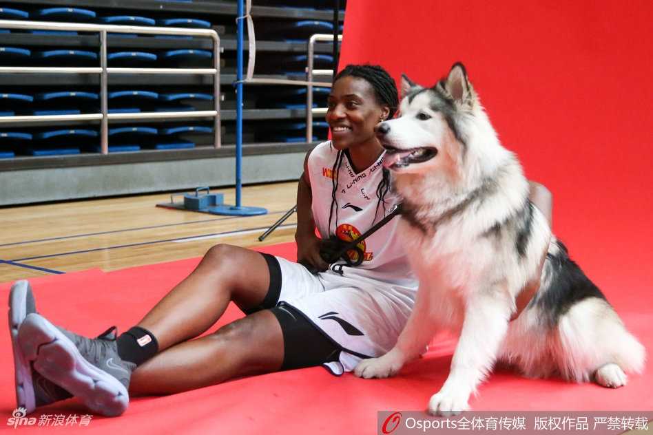 杨半伴与拉布拉多犬亲昵互动，狗狗吐舌卖萌，姑娘开怀大笑，这一刻的快乐简单而纯粹。