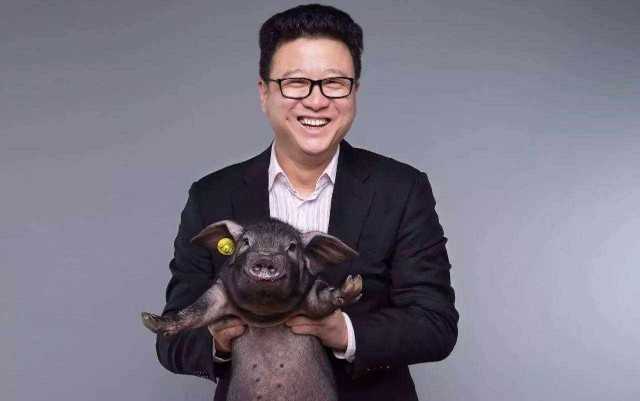 历史的荒诞剧本:穆罕默德·阿里与猪木宽至的“世纪之战” 历史的荒诞剧本:穆罕默德·阿里与猪木宽至的“世纪之战”