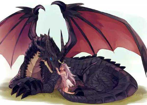 ⚠️ 信息核对说明