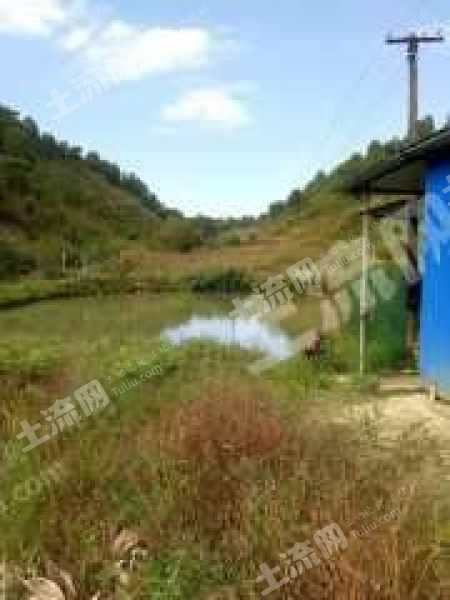 国际图尔库2-1埃尔维斯补时绝杀迎开门红